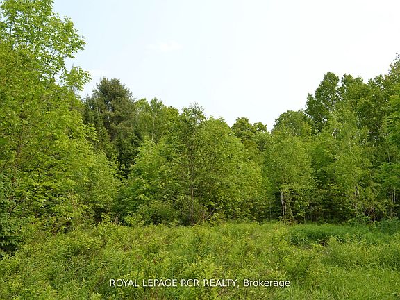 2nd image of 1527 Madill Rd