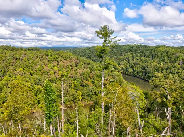 LOT-931R Myna Ct, Ellijay, GA 30540