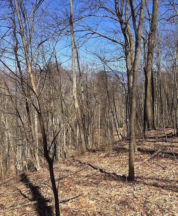 1st image of 160 Wildflower Cove #Lot 13