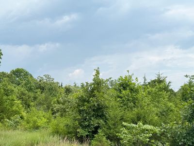 17320 Solo Rd Road, Houston, MO, 65483