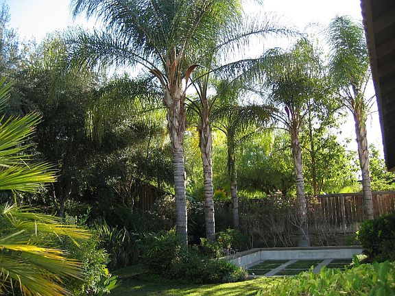 Lush, beautifully kept, mature landscaping in private backyard