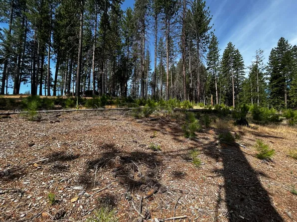 4904 Mount Pleasant Dr, Grizzly Flats, CA 95636