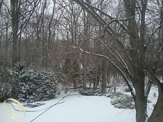 4th image of 23020 Nottingham Dr