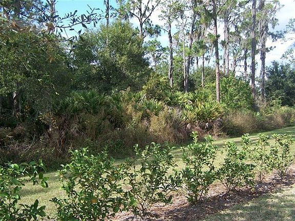 Back Yard - Greenbelt
