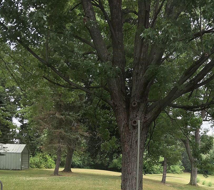 1st image of 5239 Fairgrounds Rd