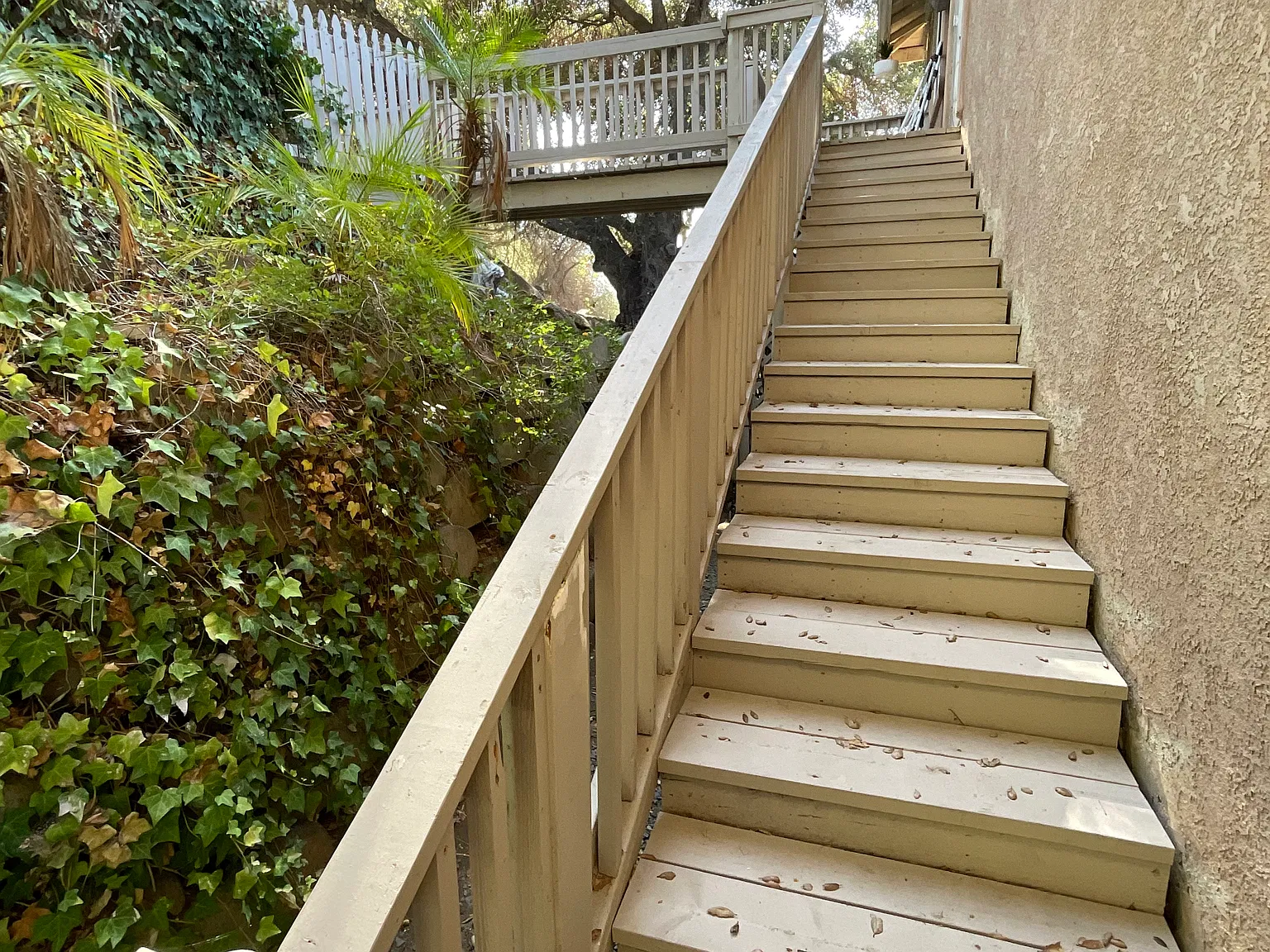 2 bed, 900 sqft, $2,675 — Photo 3