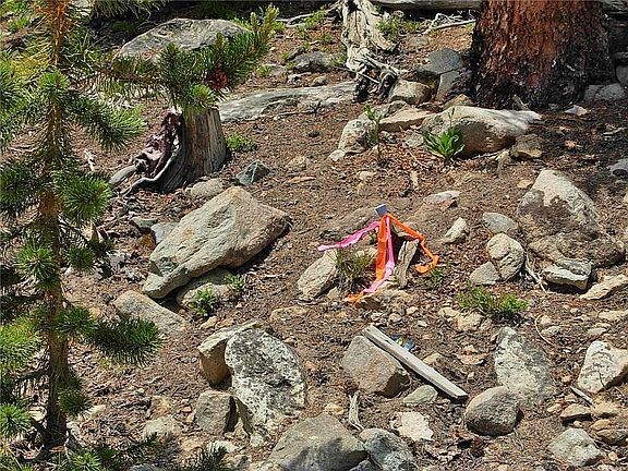 2nd image of 125 Silverheels Pl