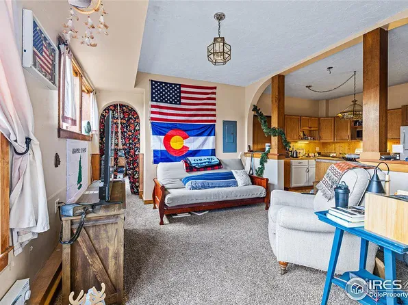 141 Pine Cone Dr, Ward, CO 80481