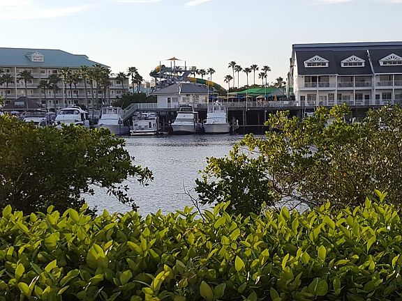 View from your patio