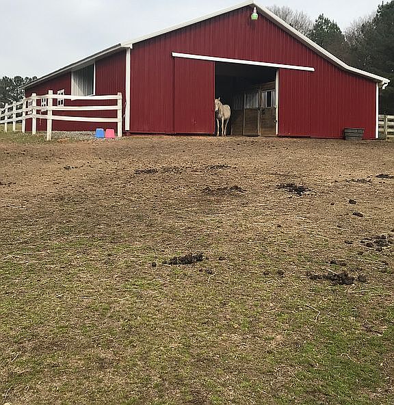 2nd image of 3515 Grady Smith Rd