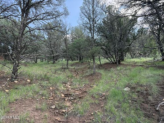 2nd image of Pn0361738 Tbdchisholm Trl