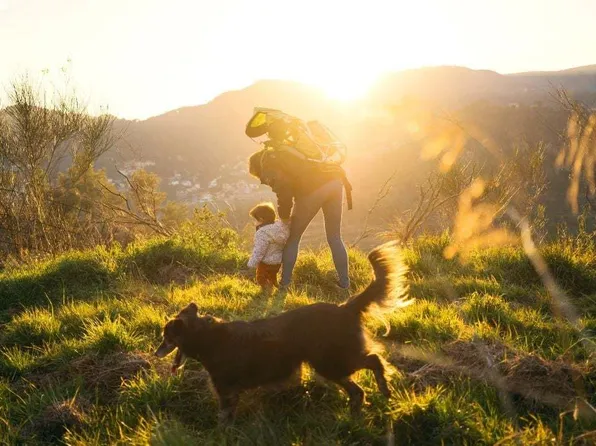 Homes Available Soon, The Estates Collection at Bluff Haven