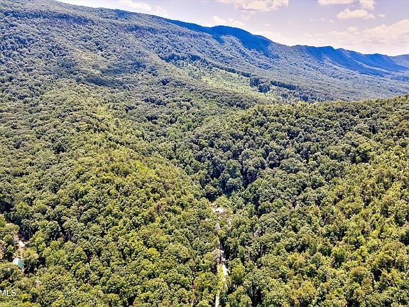 3rd image of Reagan Springs Rd