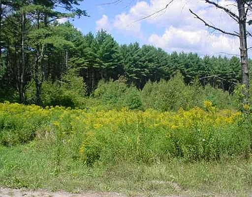 5th image of 0 Pine Valley Drive