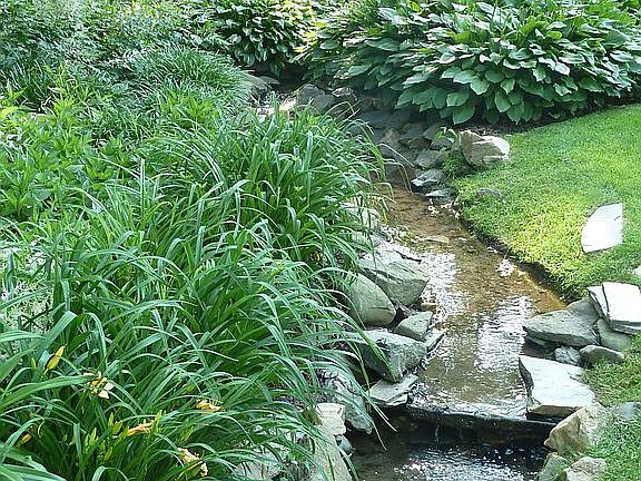 Creek running through back ya