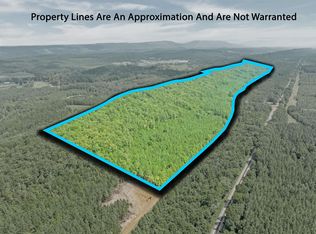 13 County Road 759, Valley Head, AL 35989