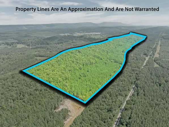 13 County Road 759, Valley Head, AL 35989