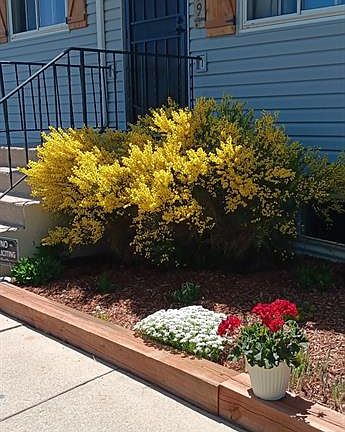 3rd image of 6879 Chippewa Rd