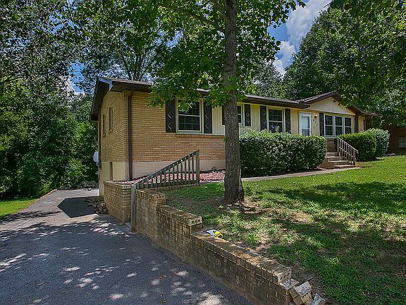 Mature trees, loads of shade
