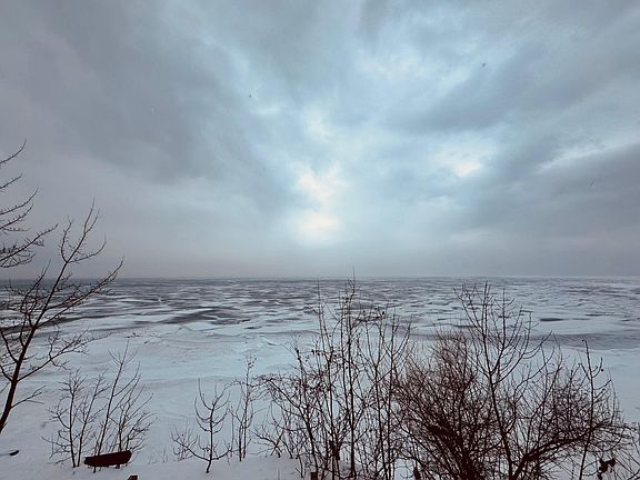 5th image of 2223 Partridge Point Rd