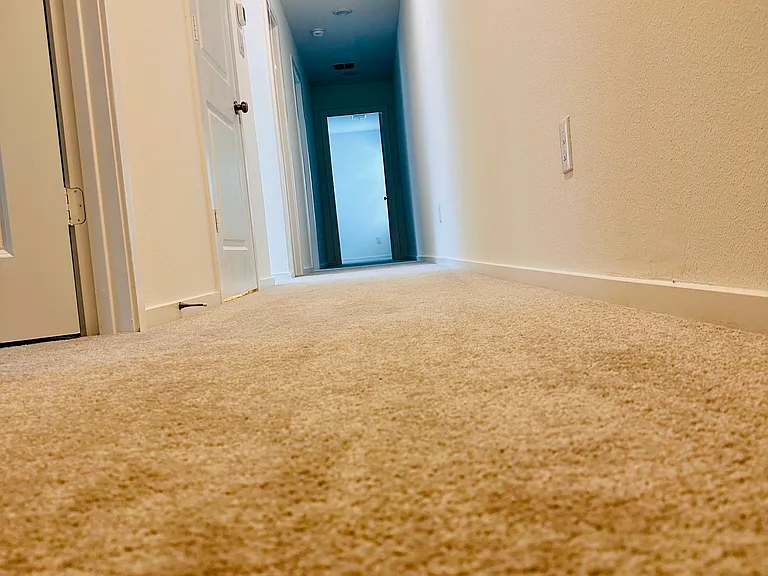 6306 Pelican Ln — Photo 12