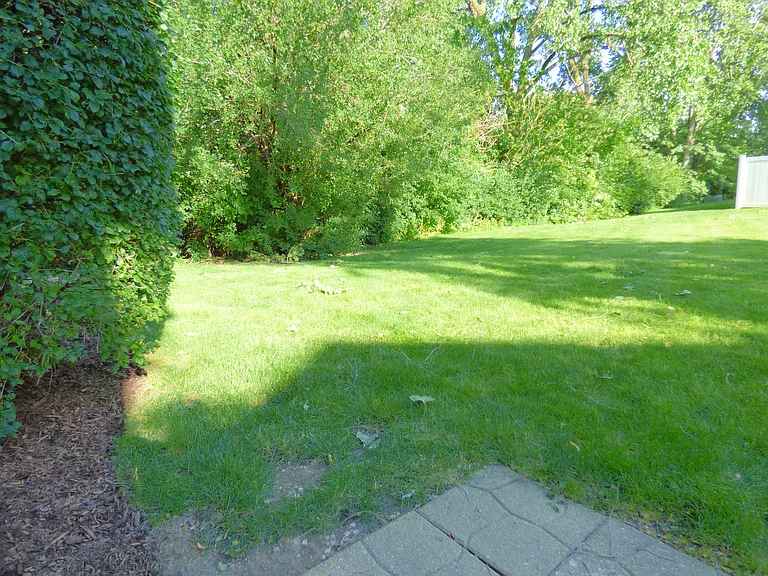 tons of green space from front door