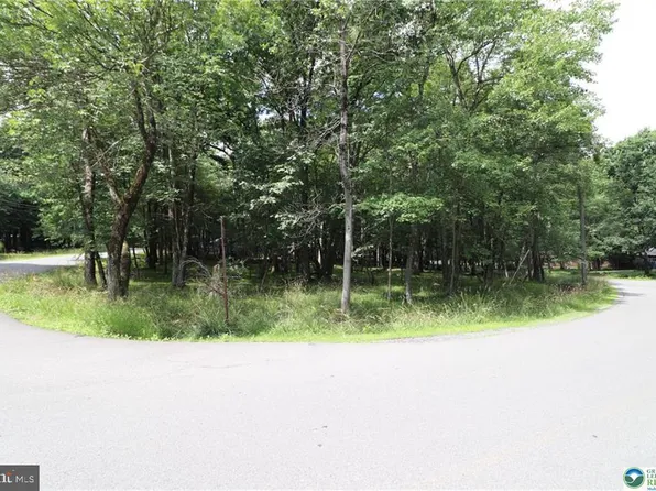 Long Brook Way, Albrightsville, PA 18210