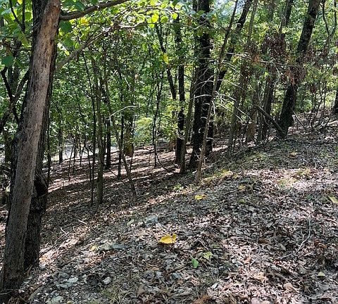 2nd image of LOT #32 Elm Ave