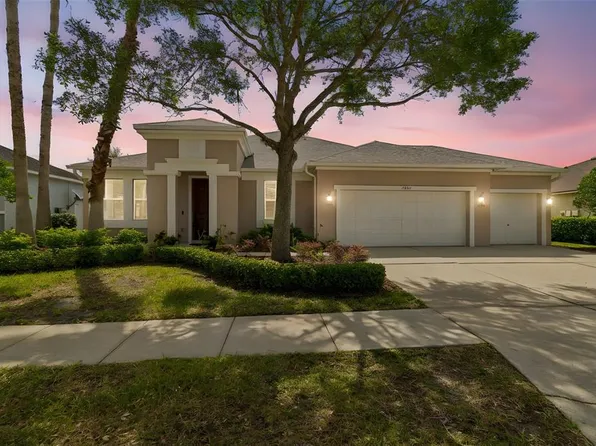 5405 Hammock View Ln, Apollo Beach, FL 33572
