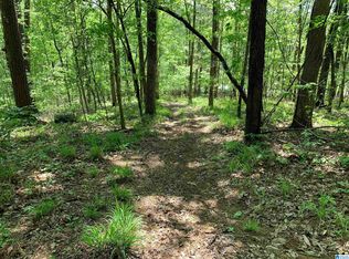 7981 Blackie Curren Rd, Bessemer, AL 35022