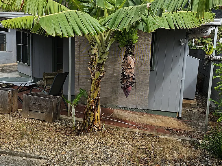 441 Kuliouou Rd #D — Photo 21
