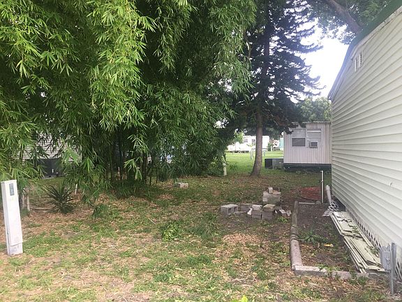 Back yard area