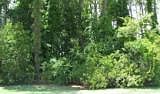 1st image of LOT 76 Woodstork Ln