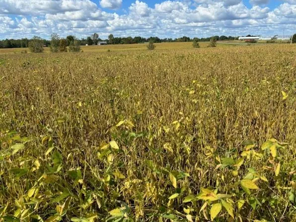 0 S State Highway Aa, Anabel, MO 63431