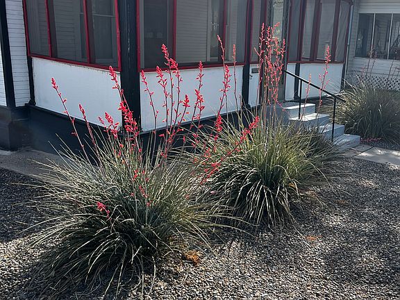 2nd image of 806 Ute Ave