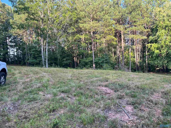 Hough Rd, Laceys Spring, AL 35754