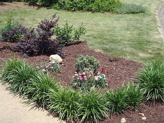Landscaping Beside the Driveway