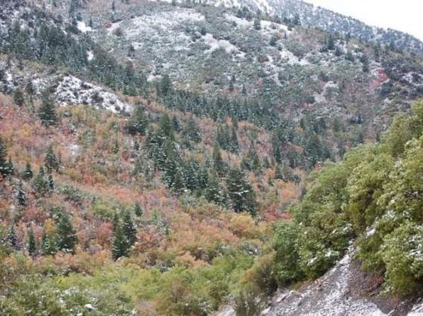 E Bald Mountain Rd, Stockton, UT 84071