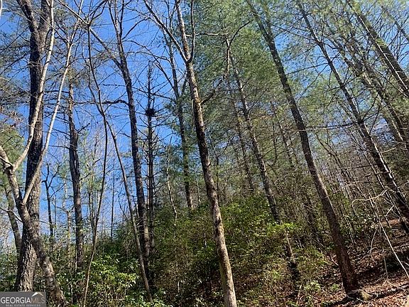 3rd image of 0 E New Hope Rd Tract A