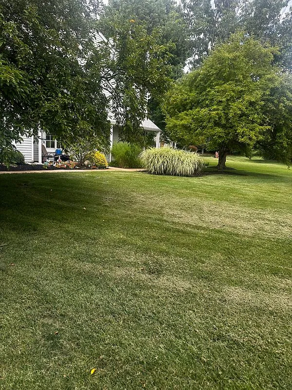 2 bed, 2.0 bath, 1088 sqft, $2,100 — Photo 1