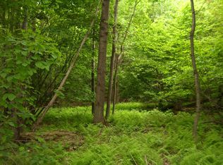 220 Brandon Brooks Rd, Unadilla, NY 13849