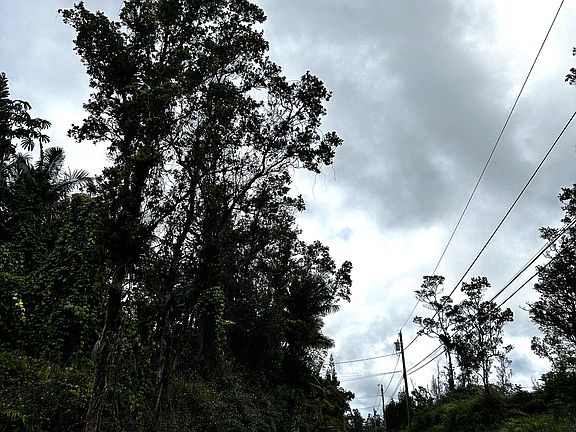 5th image of Kula St Lot 13