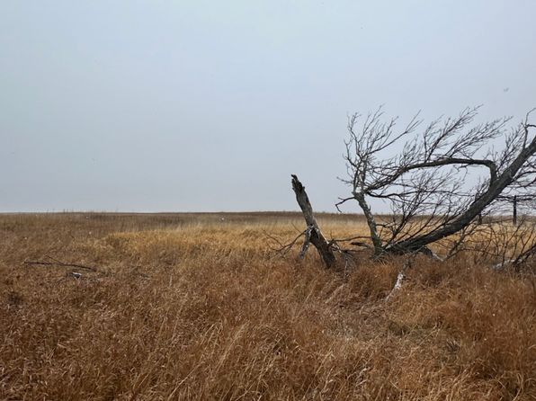 County Road 22 LOT WP001, Lakota, ND 58344