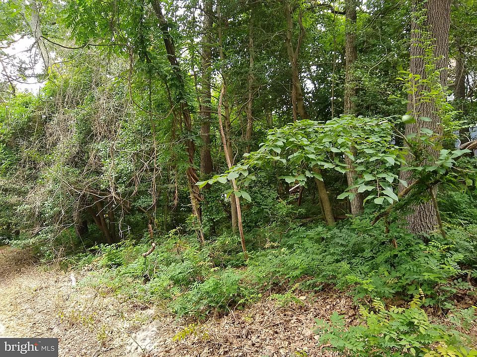2nd image of Snodgrass Rd