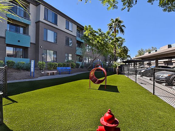 Bark Park with Obstacles and Washing Area
