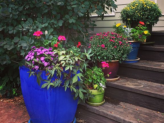 Back deck