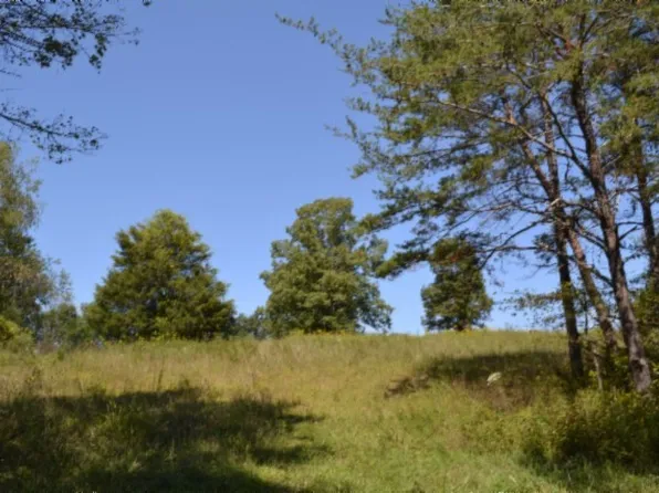 0 Taylor Place Rd, Jamestown, TN 38556