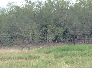 2202 Figueroa St, Donna, TX 78537