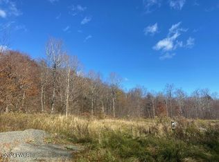 Rotten Rd, Equinunk, PA 18417