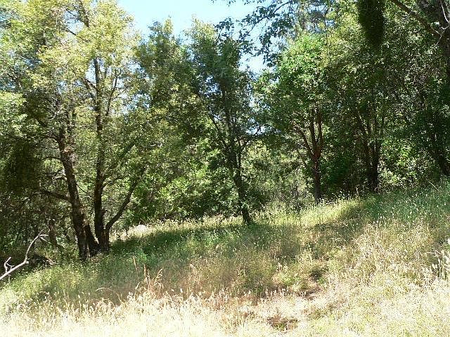1st image of 23160 Roden Ln